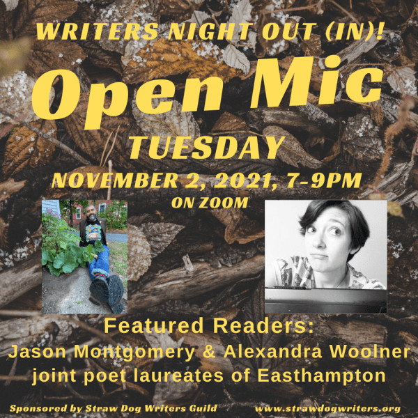 Writers Night Out/In November